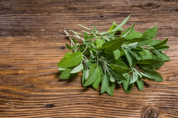 Herbe de sauge fraîche sur table en bois — Photo