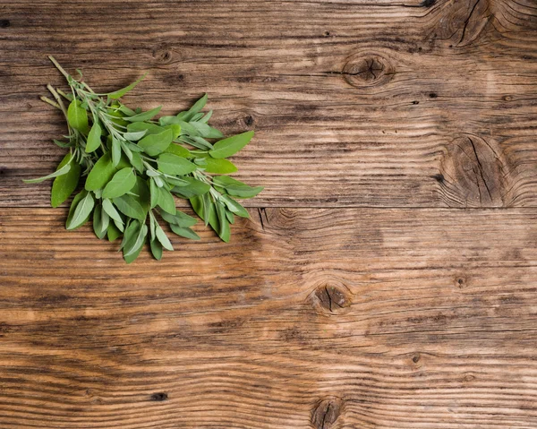 Erba fresca di salvia sul tavolo di legno — Foto Stock