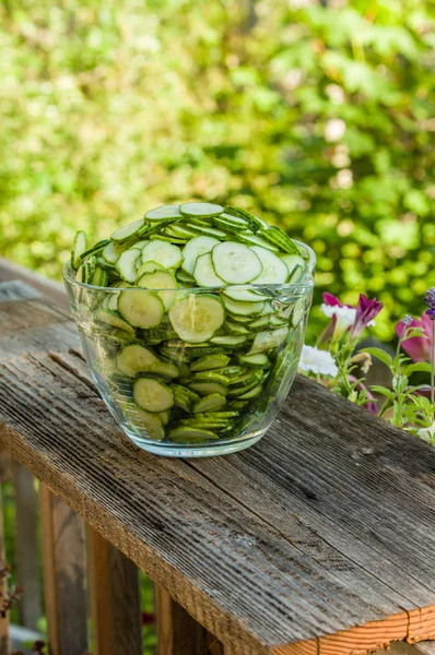 Glasschale mit aufgeschnittenen Gurken — Stockfoto