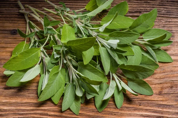 Fresh sage herb on wooden table — Stock Photo, Image