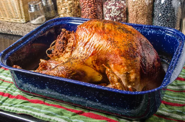 Tacchino arrosto che esce dal forno — Foto Stock