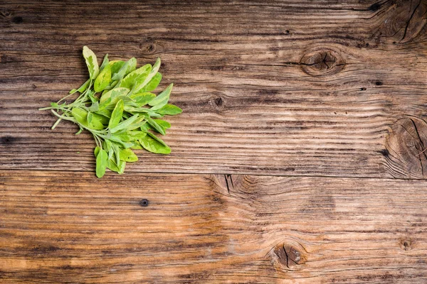 Salvia di erba variegata su un tavolo — Foto Stock