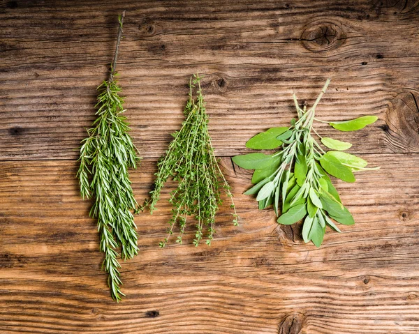 Rosemary, thyme and sage herbs — Stock Photo, Image