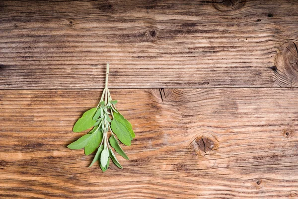 Fresh sage herb on wooden table — Stock Photo, Image