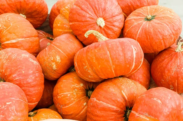 Orange winter squash at the market — Stock Photo, Image