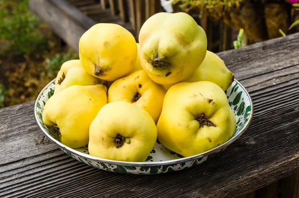 Bowl of fresh picked quince — Stock Photo, Image