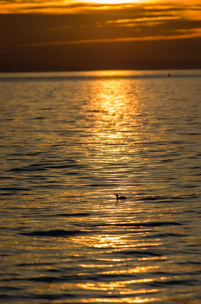 太平洋上空的落日 — 图库照片
