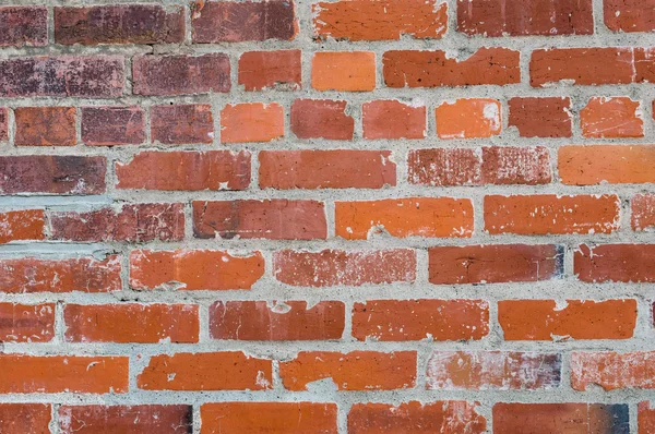 Bricks with masonry mortar joints — Stock Photo, Image