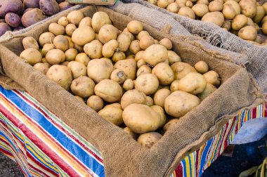 Beyaz patates piyasada kutusu
