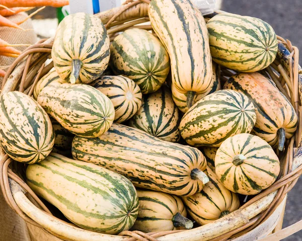 Basket of delicata squash at the market — Stock Photo, Image