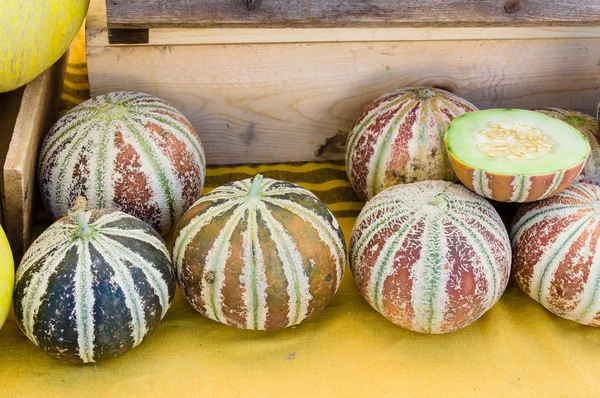 Sweet Kajari melons at the market — Stock Photo, Image