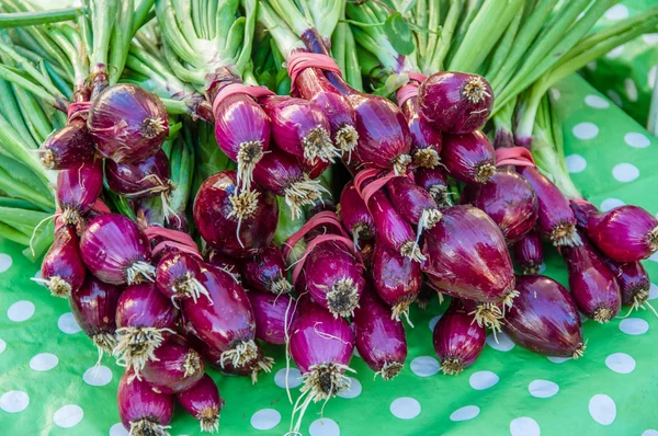Bunches of red onions at the farmers market — Stock Photo, Image