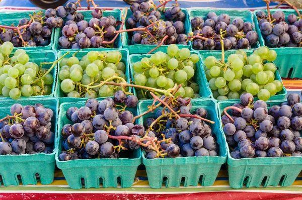 Baskets of fresh grapes at the market — Stock Photo, Image