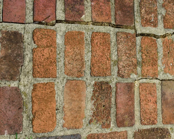 Bricks with masonry mortar joints — Stock Photo, Image