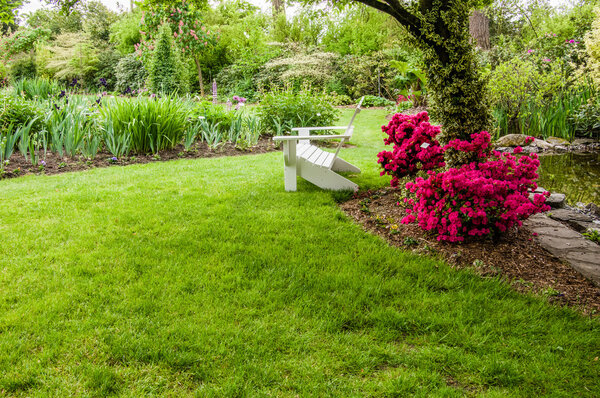Green lawn and shrubs in a garden