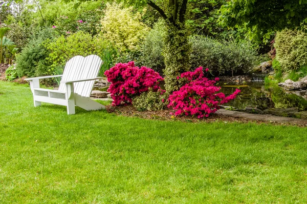 Gramado verde e arbustos em um jardim — Fotografia de Stock