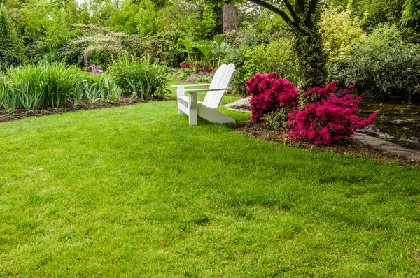 Prato verde e arbusti in un giardino Fotografia Stock