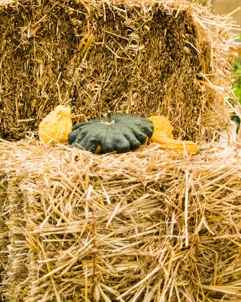 Hay bales with gourds display — Stock Photo, Image