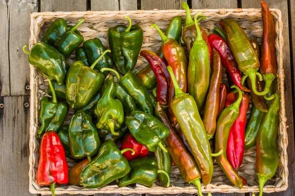 Cesta de mimbre de pimientos verdes picantes — Foto de Stock