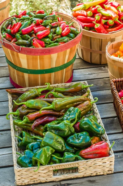 Cesti di peperoni verticali — Foto Stock