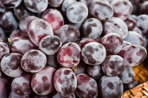 Fresh red grapes close up — Stock Photo, Image