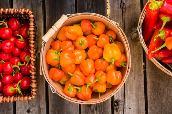 Pimentas vermelhas e alaranjadas em cestas — Fotografia de Stock