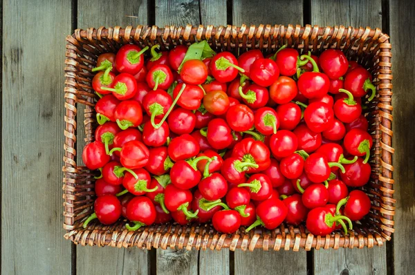 Wicker basket of red hot peppers — Stock Photo, Image