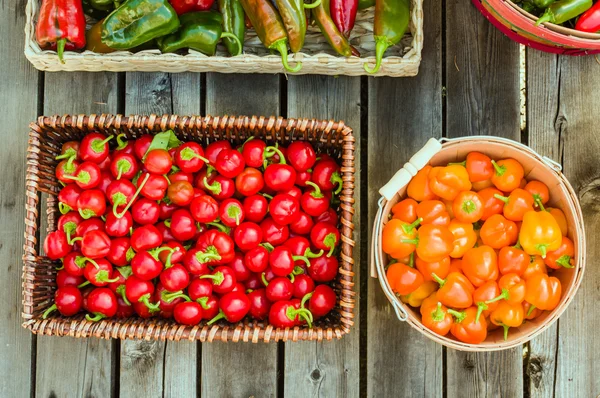 Pimientos rojos picantes en una canasta de mimbre —  Fotos de Stock