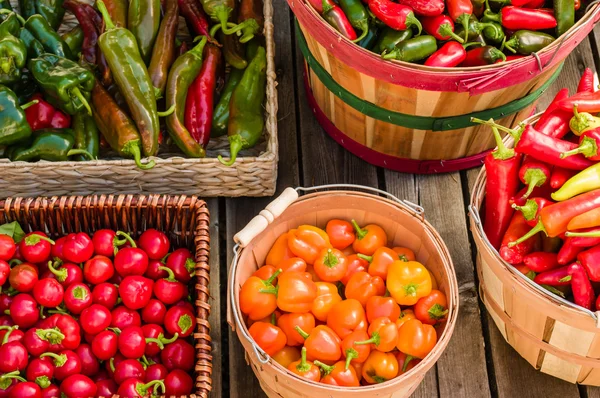 Peppers in various baskets — Stock Photo, Image