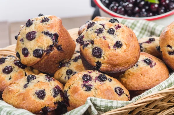 Huckleberry-muffinit korissa — kuvapankkivalokuva