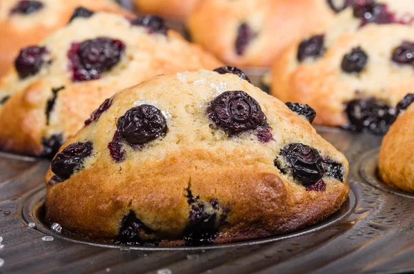 Baked berry muffins in a tray — Stock Photo, Image