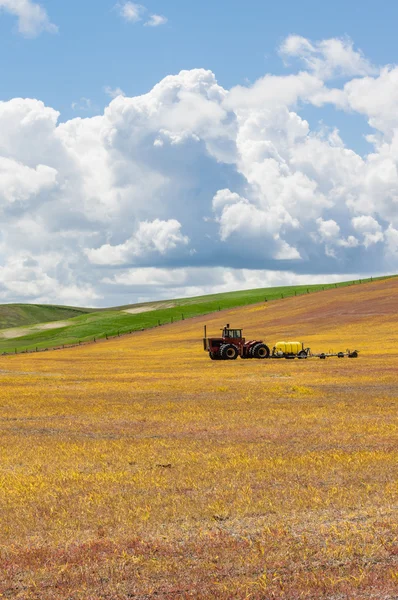 Sklizené pšeničné pole s traktorem — Stock fotografie
