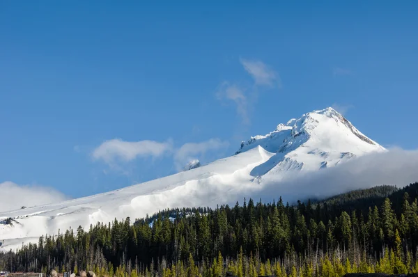 Снег покрыл гору Худ облаком. — стоковое фото