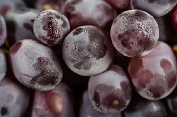 Red grapes close up macro — Stock Photo, Image