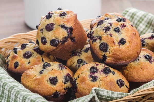 Kori vastaleivottuja muffinsseja — kuvapankkivalokuva