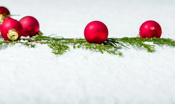 Cedar gren med röda julgranskulor — Stockfoto