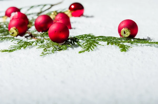 Zedernzweig mit roten Weihnachtskugeln — Stockfoto