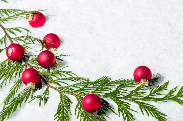 Border of evergreen bough with red balls — Stock Photo, Image