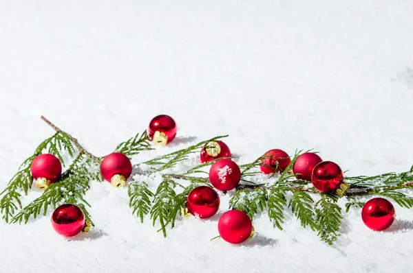 Evergreen bough with red ornaments — Stock Photo, Image