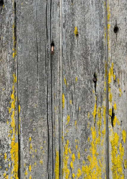 Vertikale verwitterte Platten mit Flechten zur Verwendung als Textur — Stockfoto