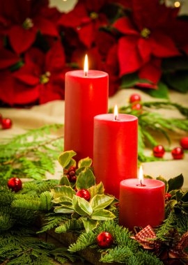 Kırmızı poinsettias Noel centerpiece