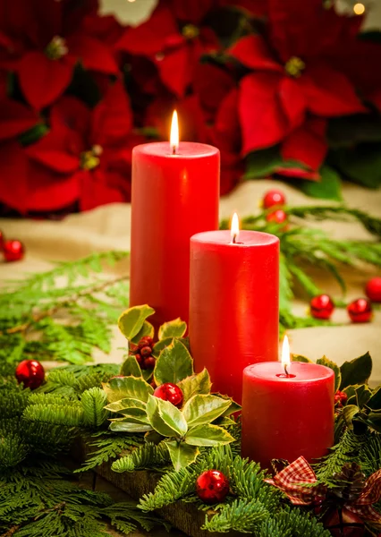 Pièce maîtresse de Noël avec poinsettias rouges — Photo