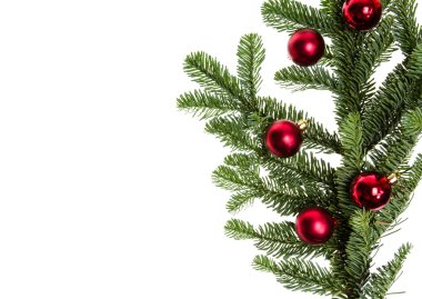 Köknar dal üzerinde kırmızı ornamentso