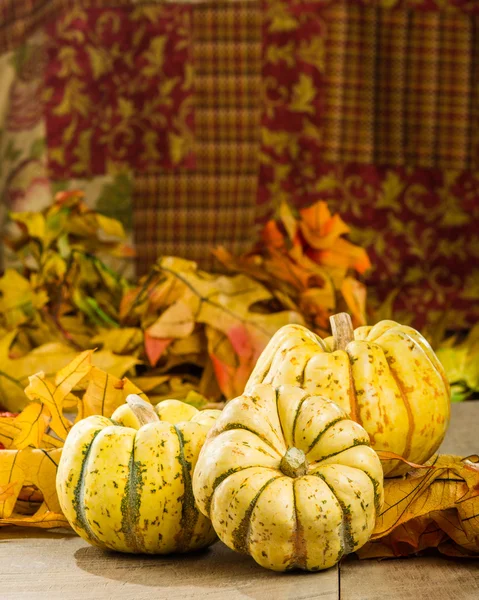 Fall squash with autumn leaves — Stock Photo, Image