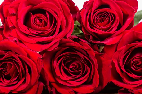 Group of red roses laying on table — Stock Photo, Image