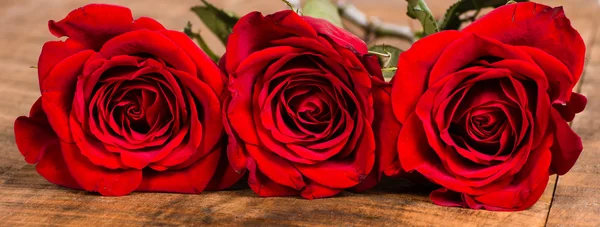 Three red roses tight view — Stock Photo, Image