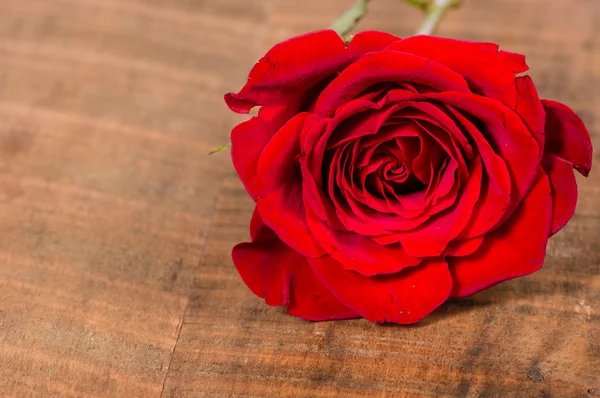 Red rose on a wooden table — Stock Photo, Image