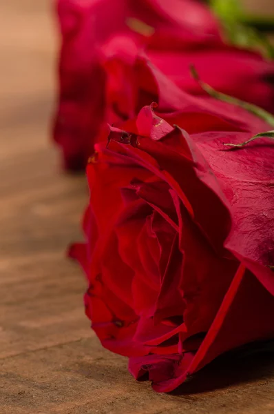 Red roses in a row on table — Stock Photo, Image