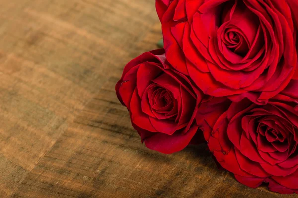 Group of three bright red roses — Stock Photo, Image