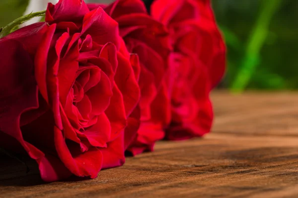 关闭明亮的红玫瑰 — 图库照片